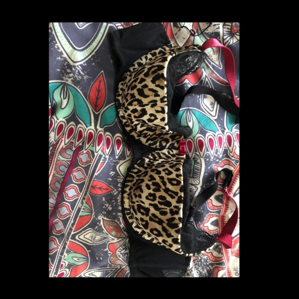 44C bra lane Bryant new without tags